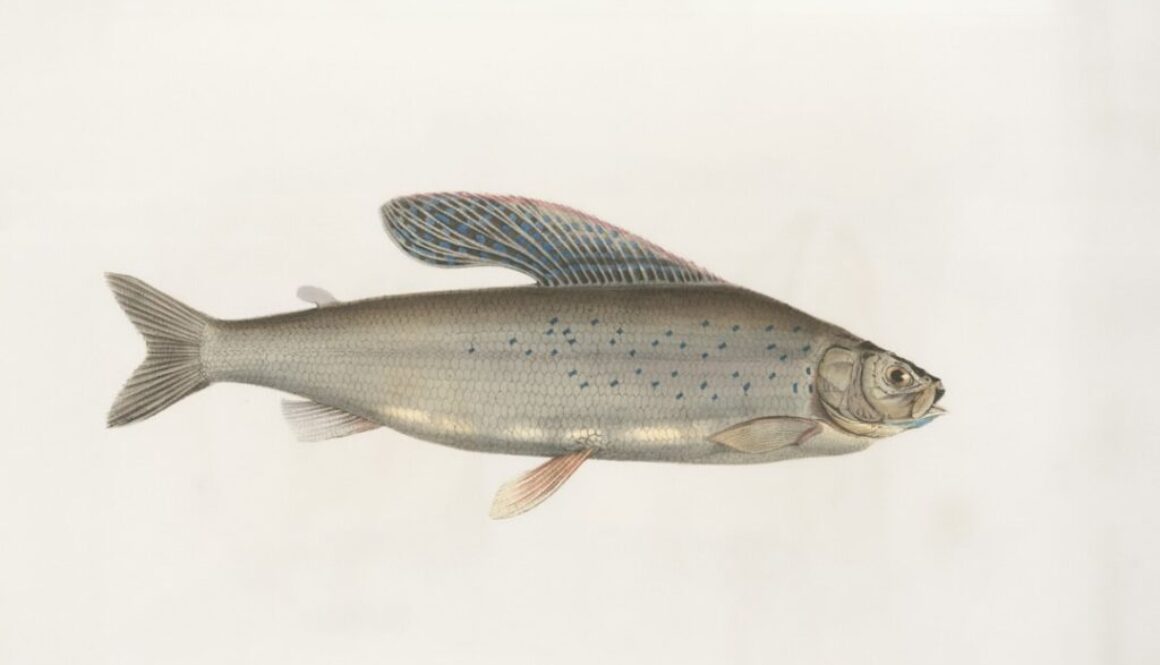 Badania właściwości mechanicznych materiałów – teoria, praktyka i przykłady